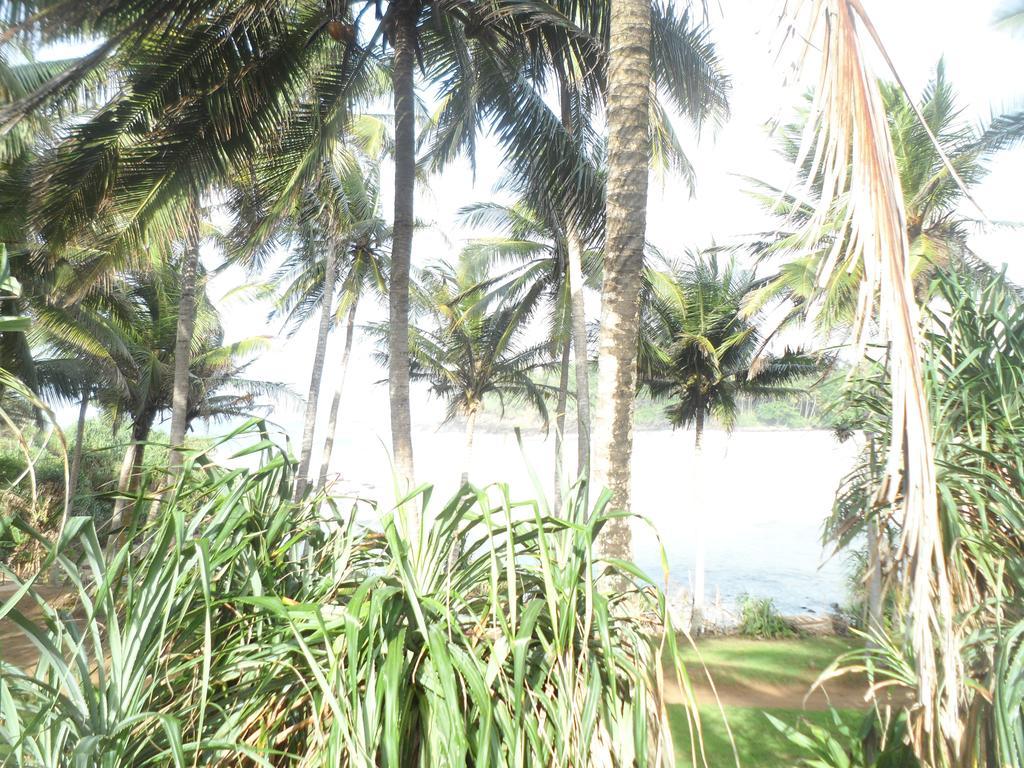 Gold Ocean House Apartment Dikwella Exterior foto